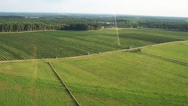 Zaunsysteme Hirschfarmen umfassender Service Umzäunung großer Gebiete Polen